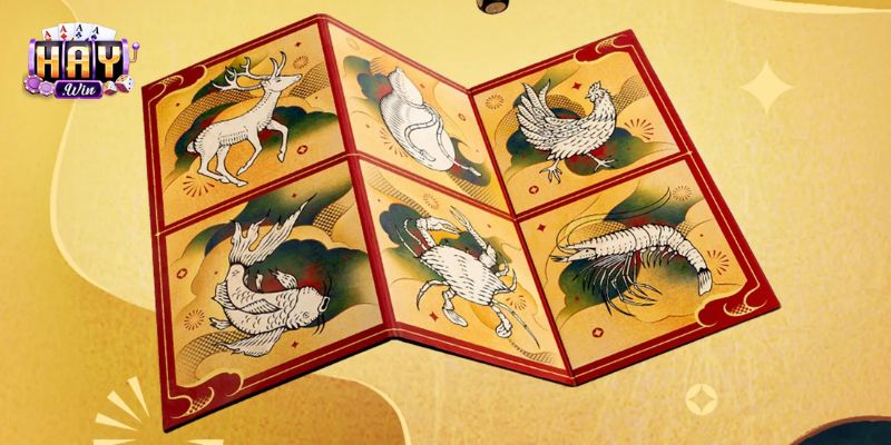 Haywin cung cấp đa dạng các tính năng bổ trợ quan trọng 